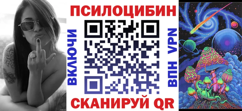 Купить где  Меленки  Псилоцибиновые грибы Cubensis 